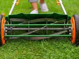 Best Manual Push Mowers – Lawnmowerfixed