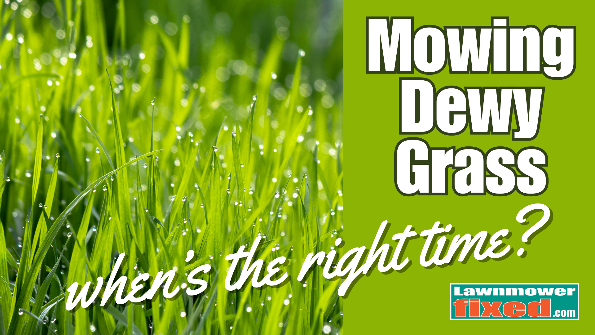 Can You Cut Grass in November? Yes, but read this first! | Lawnmowerfixed