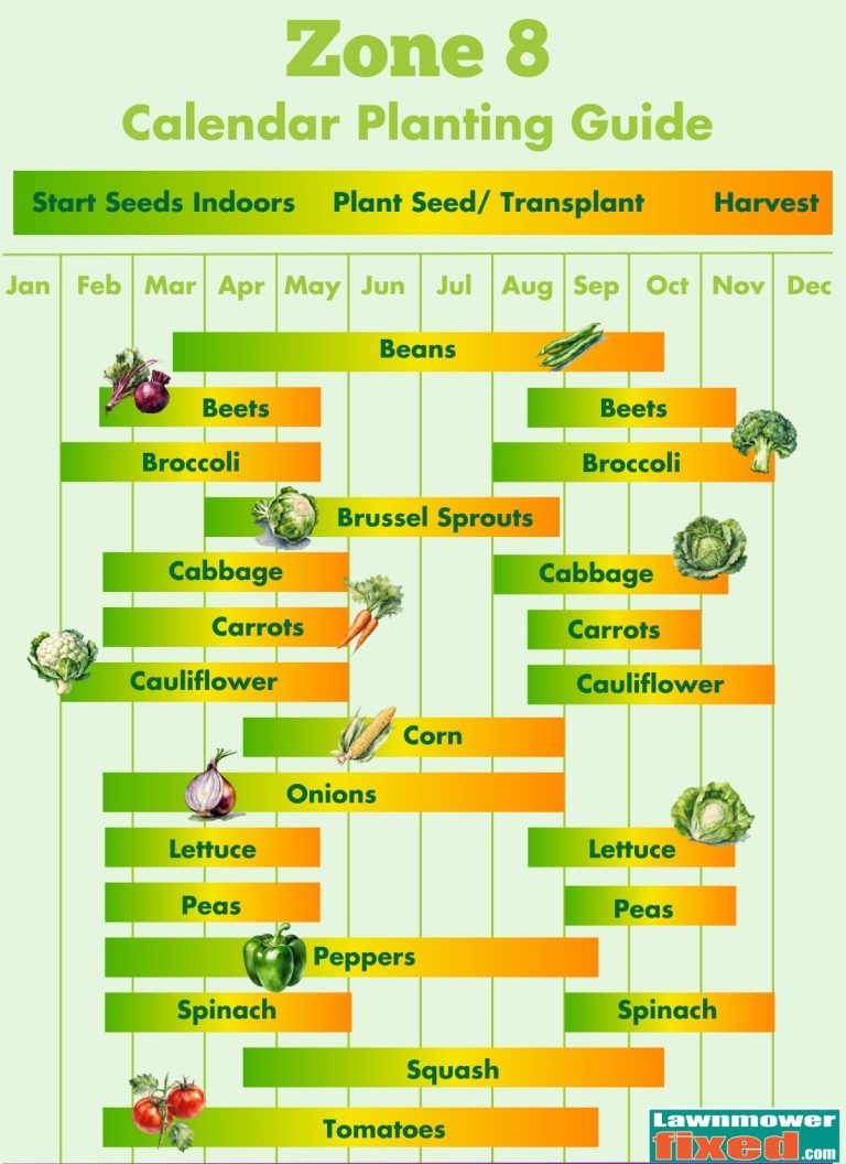 Planting Calendar by Zone: When to Start, Plant & Harvest Your Veggies ...