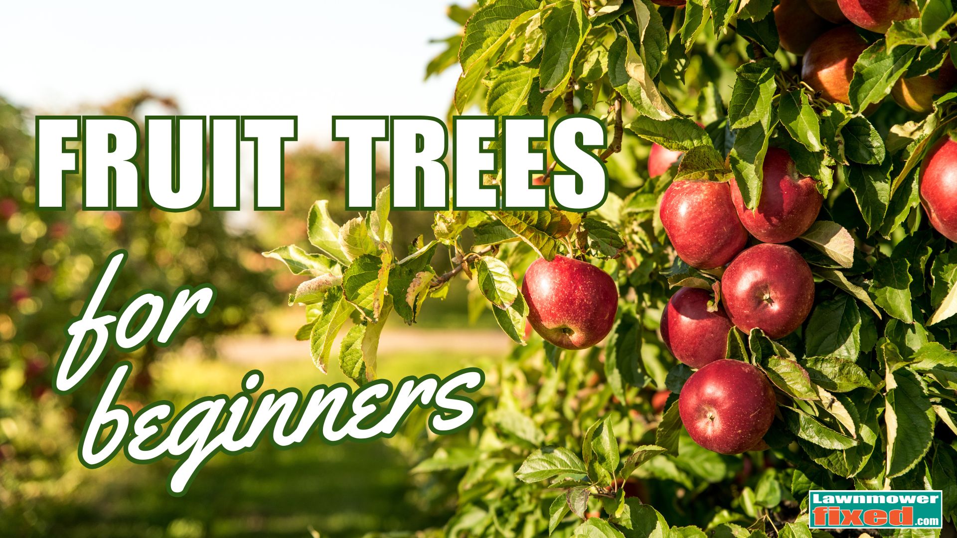 These 5 Fruit Trees Practically Grow Themselves—Perfect for Beginners ...