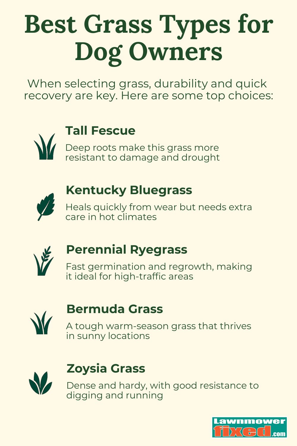 How to Make Your Lawn Dog-Friendly Without Destroying Your Grass ...