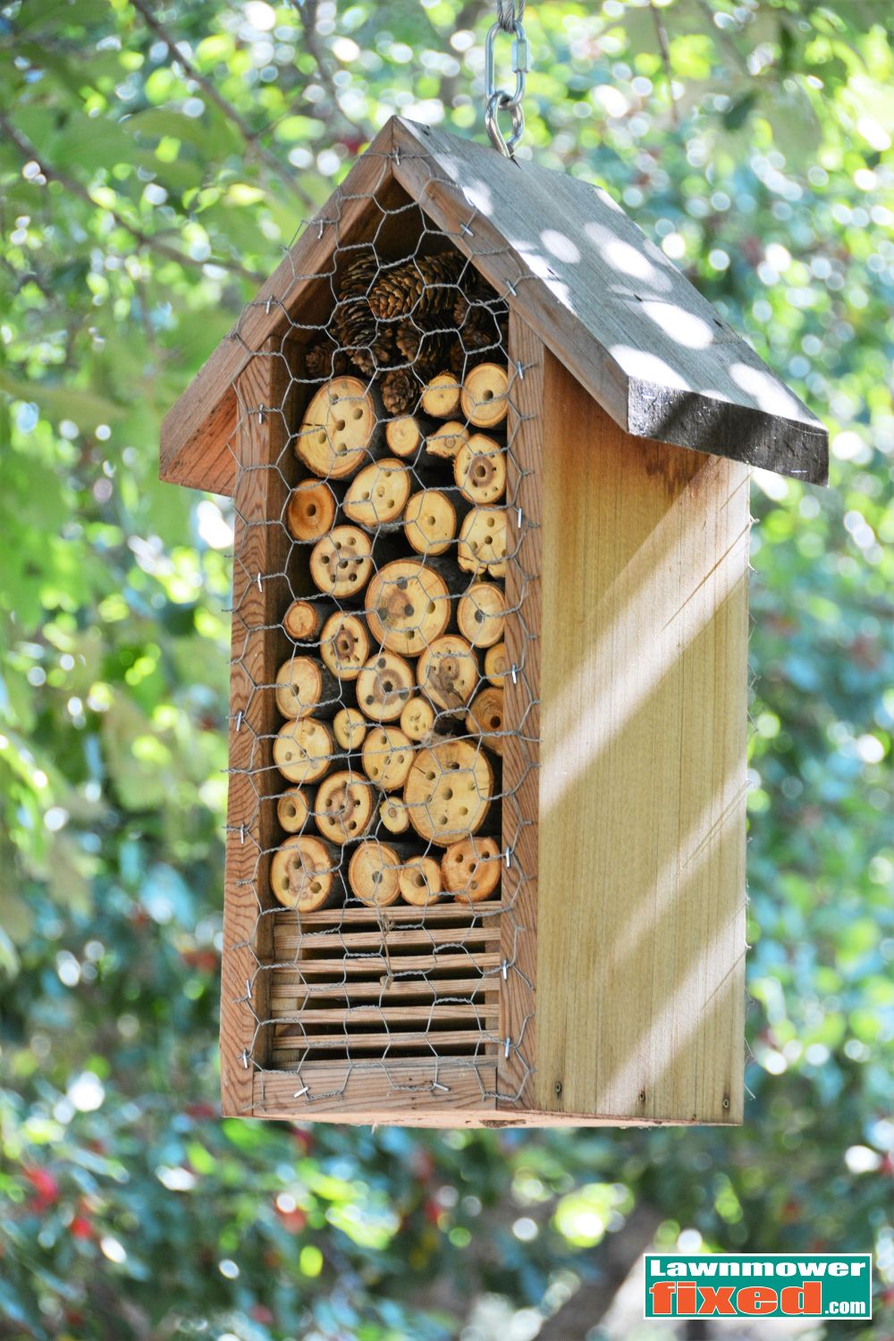 How to Create a Pollinator Paradise in Your Backyard | Lawnmowerfixed
