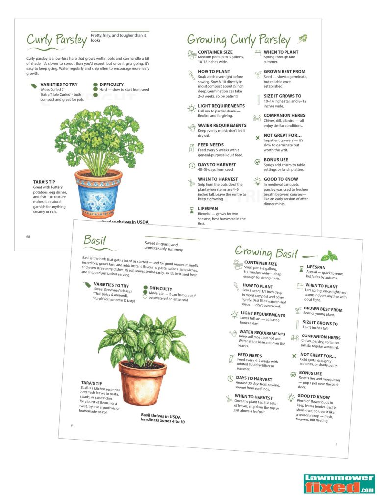 Sample Herb Pages