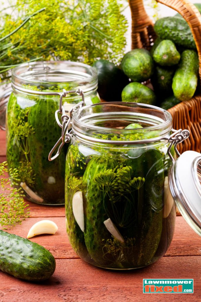 pickled cucumber in a jar