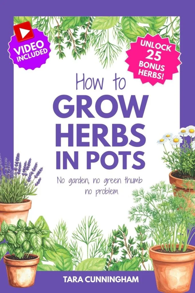how to Grow Herbs in Pots cover