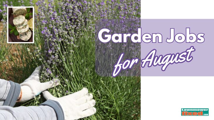 august feature